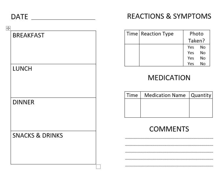 example of a simple food diary