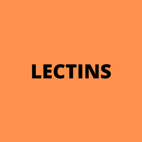 Food is medium in lectins