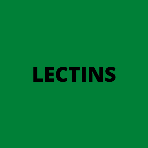 Food is low in lectins