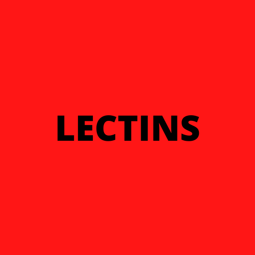 Food is high in lectins